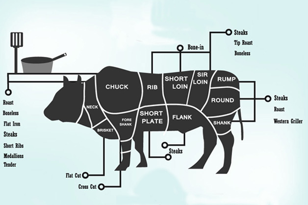 Graphic on the different cuts of meat in a cow