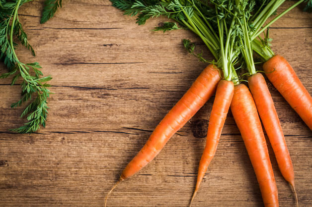 Carrot -root to stem