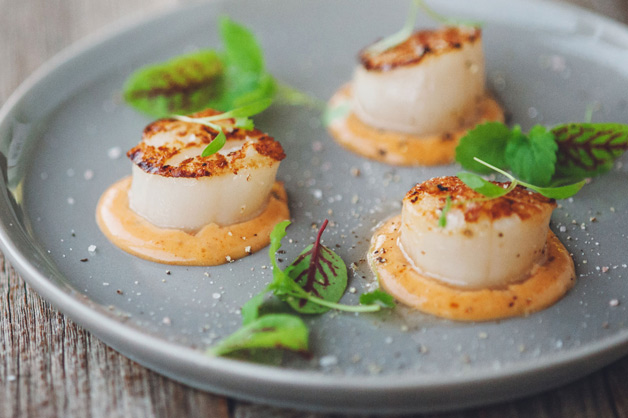 Scallop Plating V2