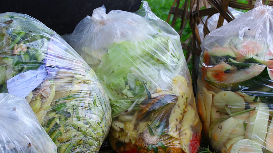 Image of food from a kitchen being thrown out