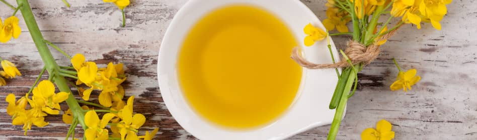 Photo of a bowl of Canola Oil