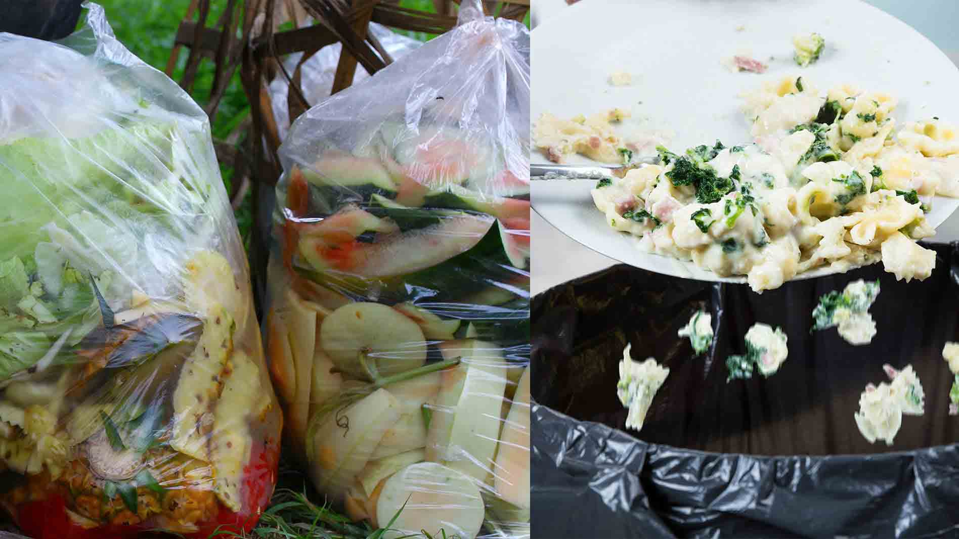 The growing issue of food wastage and how you can make a difference in your kitchen!