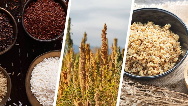 Rice vs Quinoa - what is the difference?