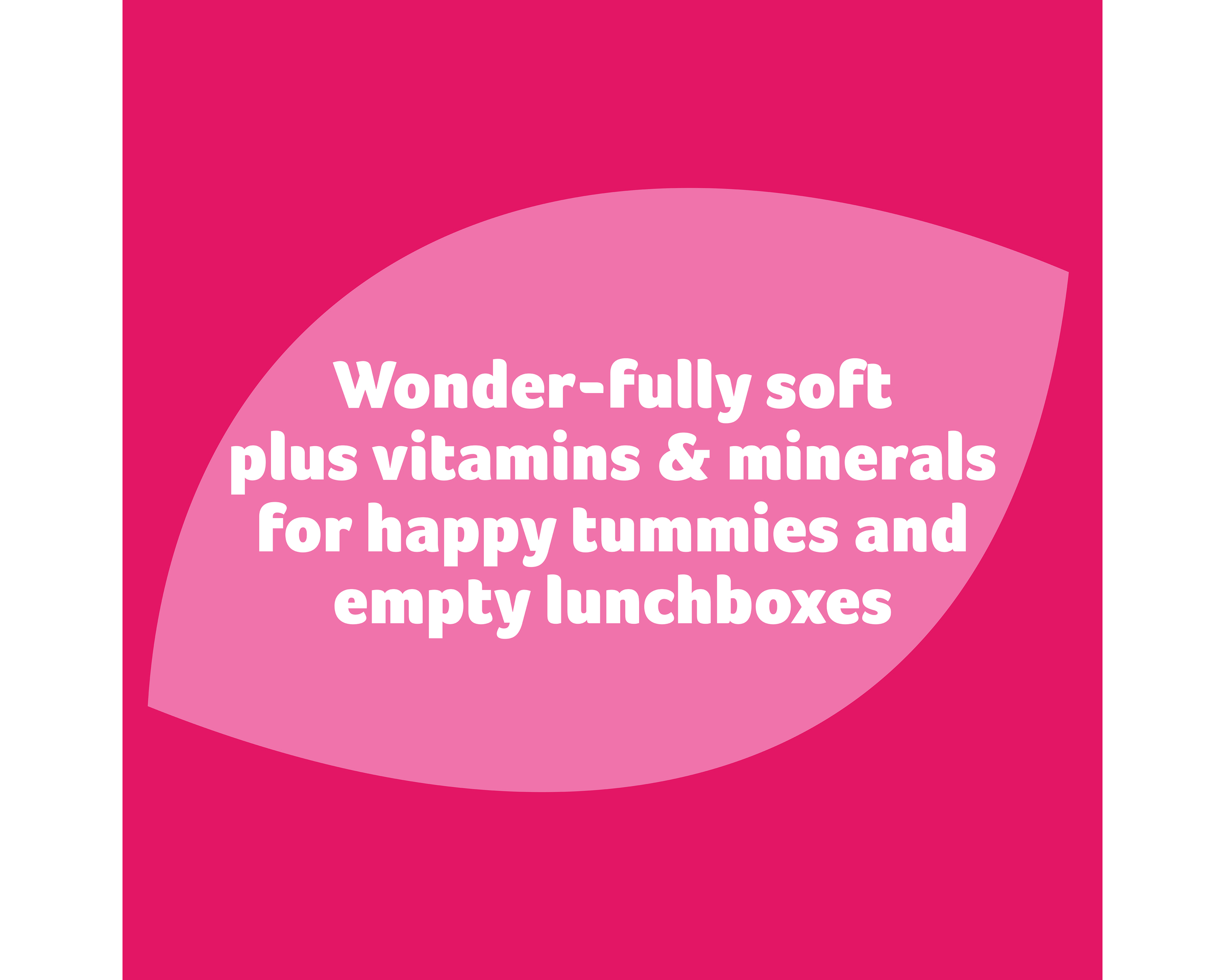 Wonder Sandwich White Vitamins and Minerals 700 g