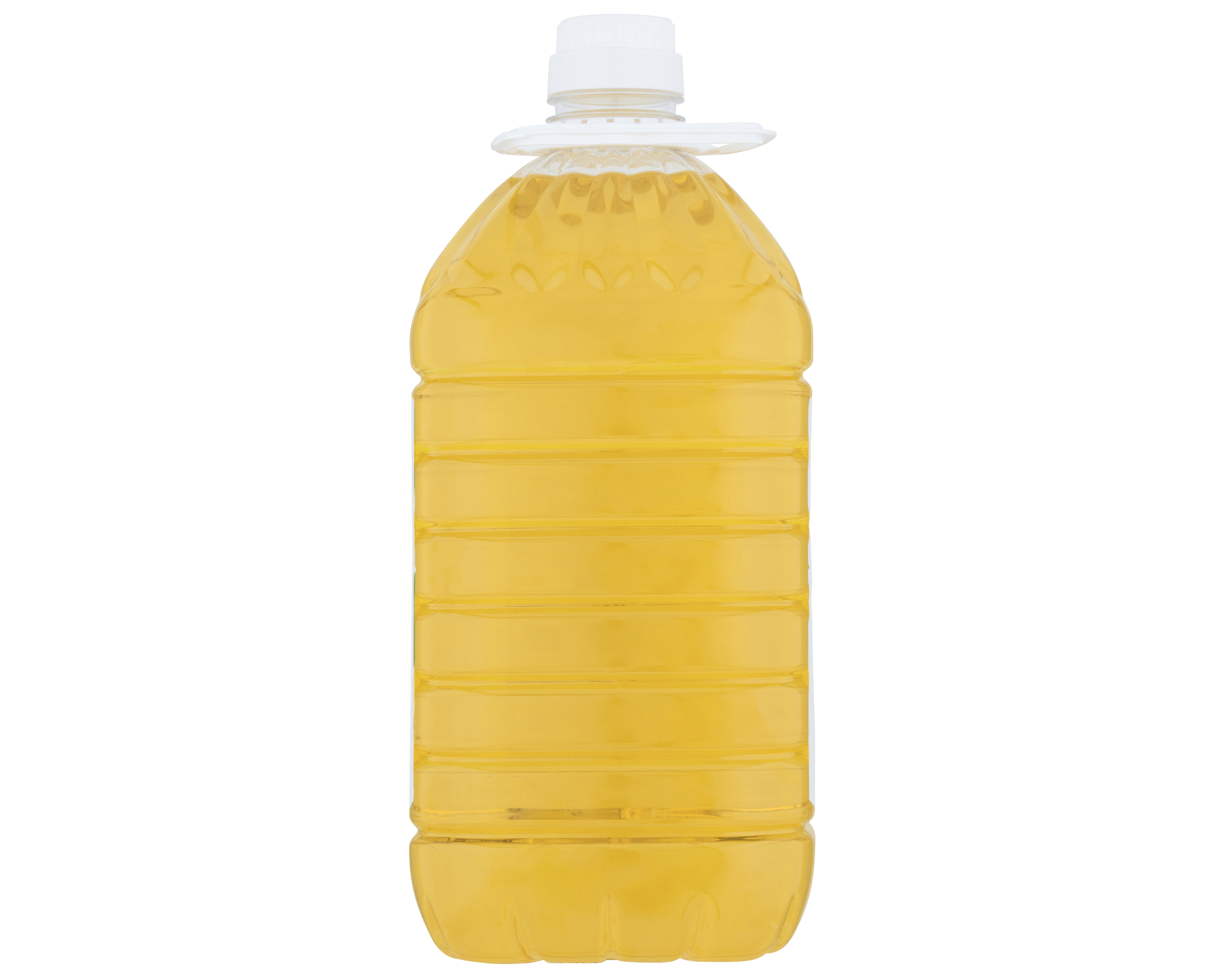 Fortune Oil Canola 1 x 5 l